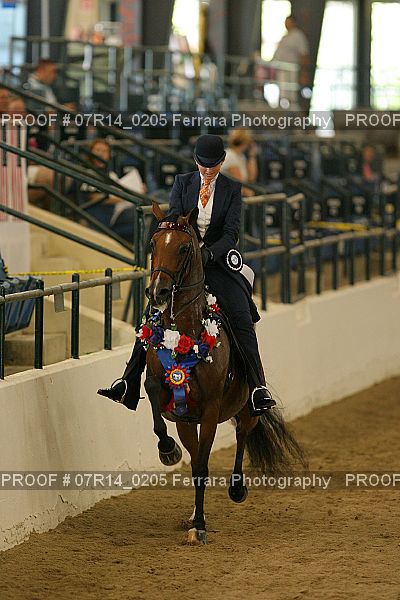 Proof Number 07R14_0205