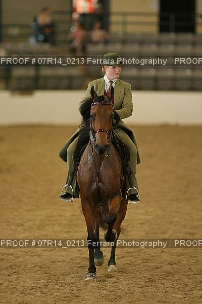 Proof Number 07R14_0213