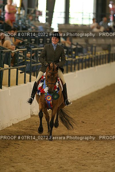 Proof Number 07R14_0272