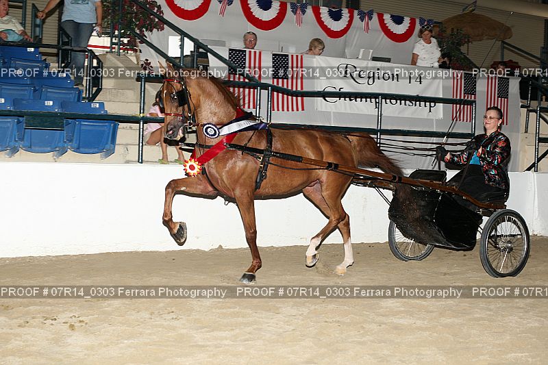 Proof Number 07R14_0303