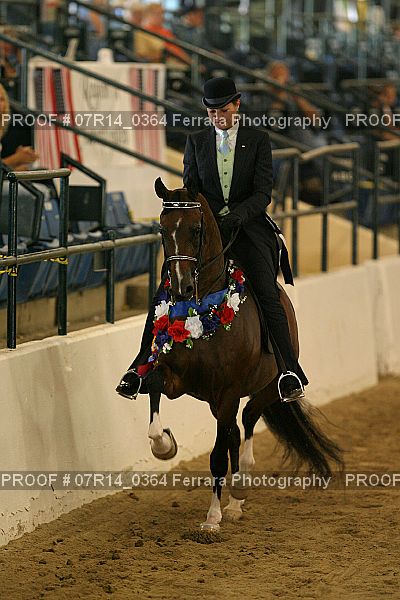 Proof Number 07R14_0364