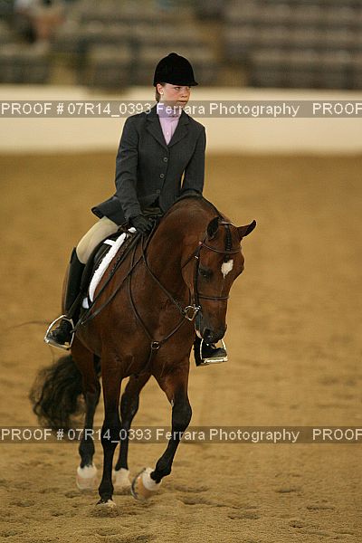Proof Number 07R14_0393