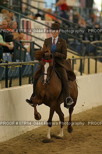 Proof Number 07R14_0444