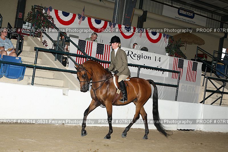 Proof Number 07R14_0531