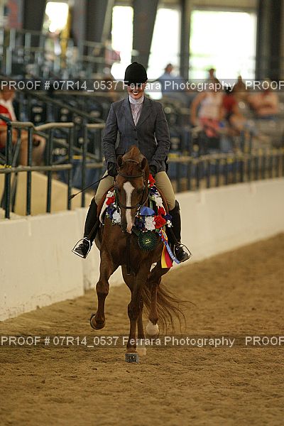 Proof Number 07R14_0537