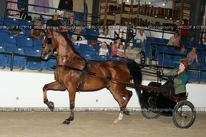 Proof Number 07R14_0562