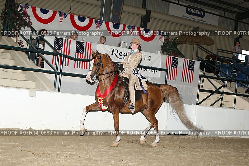 Proof Number 07R14_0583