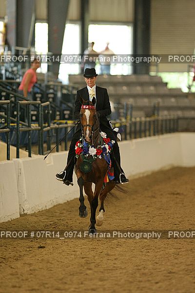 Proof Number 07R14_0974