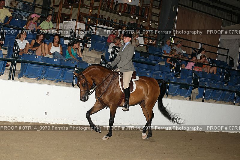 Proof Number 07R14_0979
