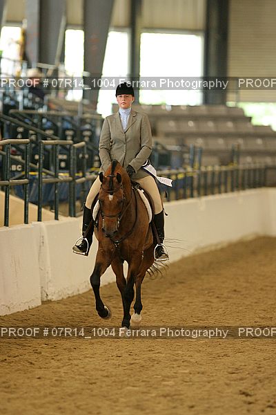 Proof Number 07R14_1004