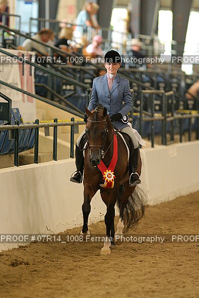 Proof Number 07R14_1008
