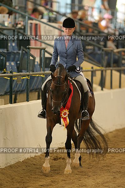 Proof Number 07R14_1010