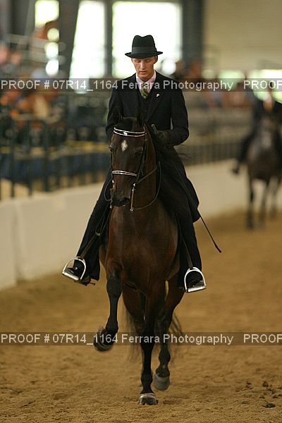 Proof Number 07R14_1164
