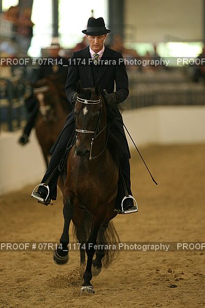Proof Number 07R14_1174