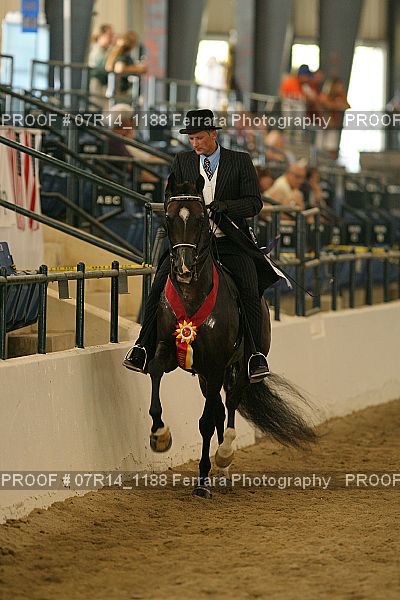 Proof Number 07R14_1188