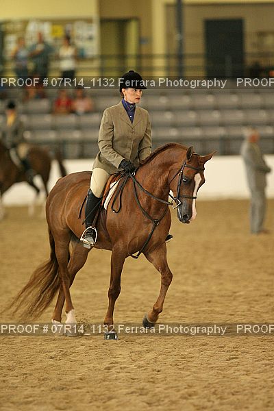 Proof Number 07R14_1132