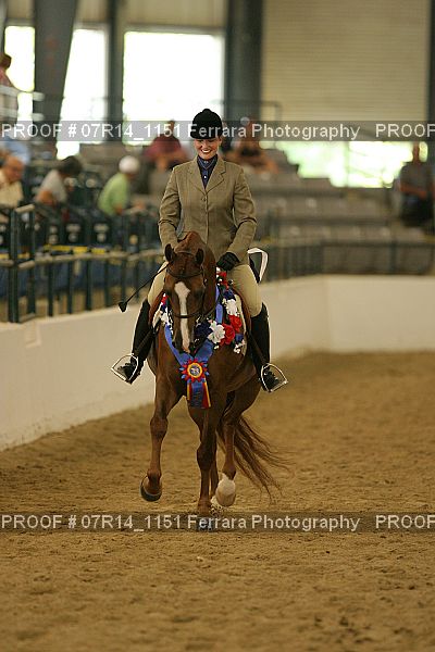 Proof Number 07R14_1151