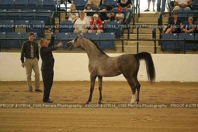 Proof Number 07R14_1195