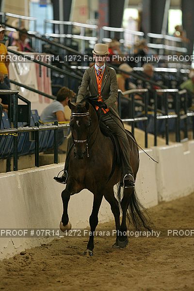Proof Number 07R14_1272