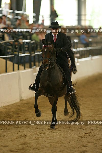 Proof Number 07R14_1408