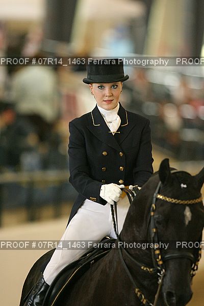 Proof Number 07R14_1463