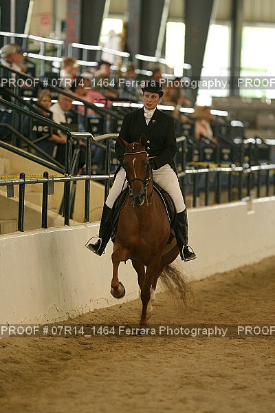 Proof Number 07R14_1464