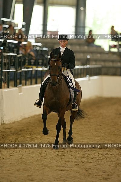 Proof Number 07R14_1475