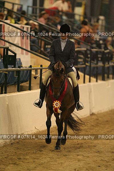 Proof Number 07R14_1624