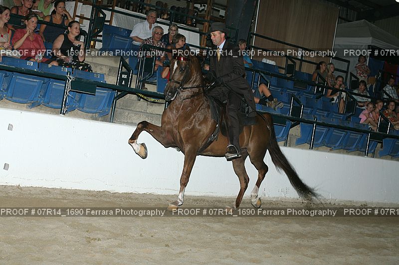 Proof Number 07R14_1690