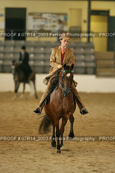 Proof Number 07R14_2003