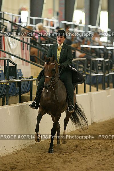 Proof Number 07R14_2138