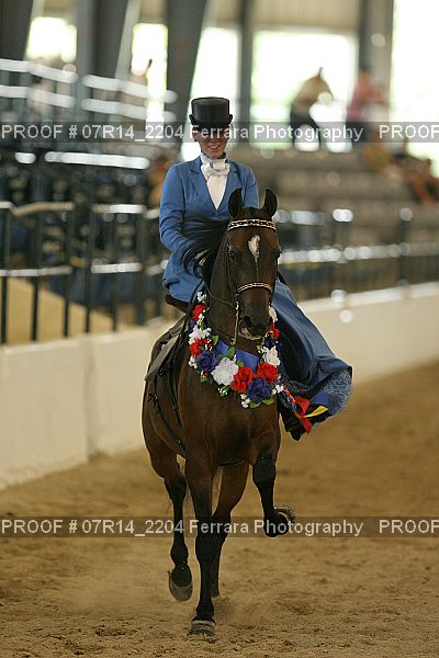 Proof Number 07R14_2204