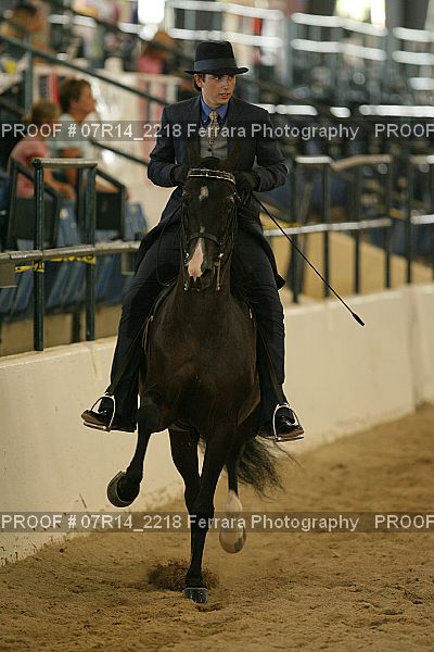 Proof Number 07R14_2218