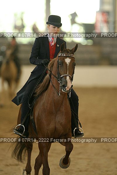 Proof Number 07R14_2222