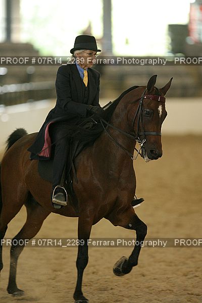 Proof Number 07R14_2289