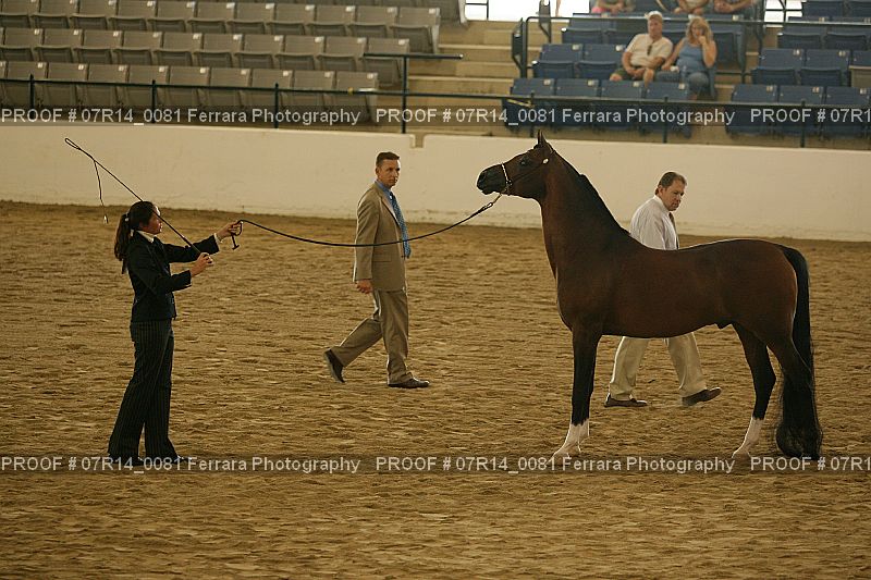 Proof Number 07R14_0081