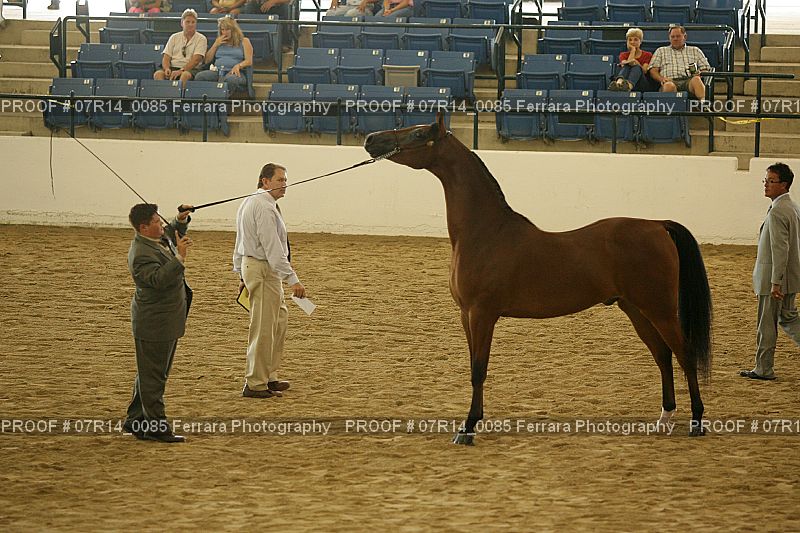 Proof Number 07R14_0085
