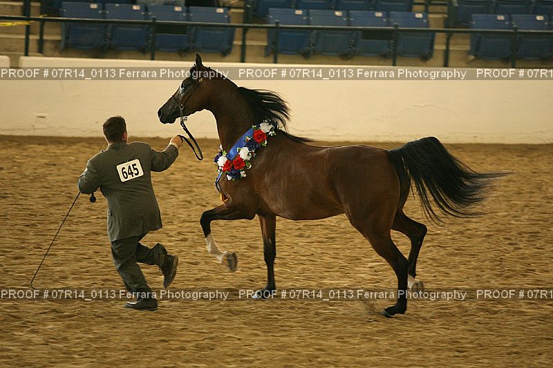 Proof Number 07R14_0113