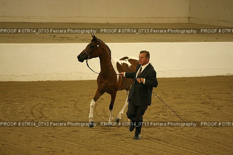 Proof Number 07R14_0713