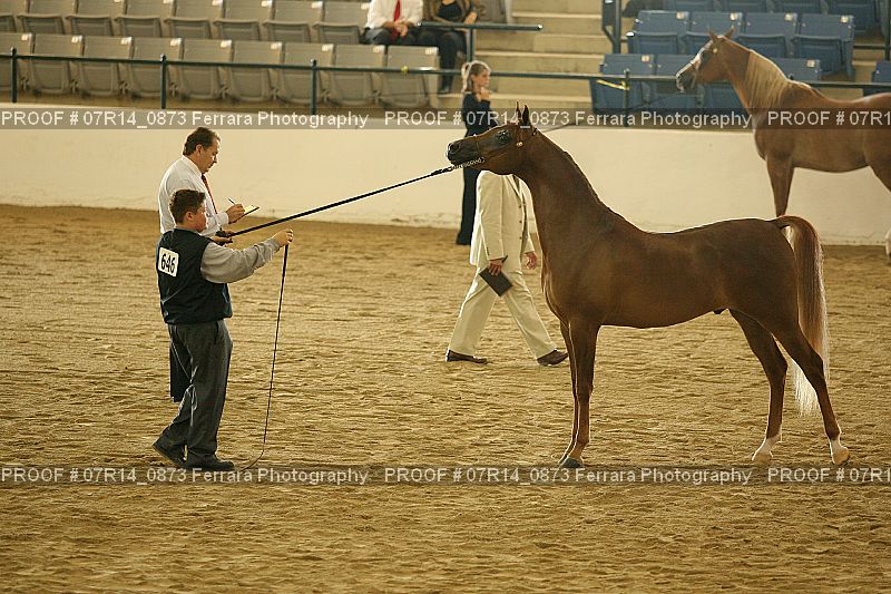 Proof Number 07R14_0873