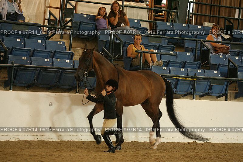 Proof Number 07R14_0919