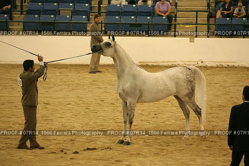 Proof Number 07R14_1566