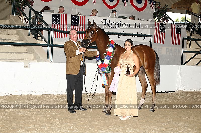Proof Number 07R14_2086
