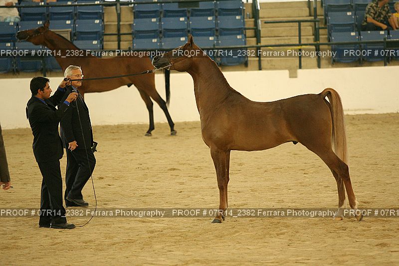 Proof Number 07R14_2382