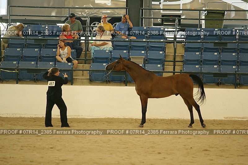 Proof Number 07R14_2385