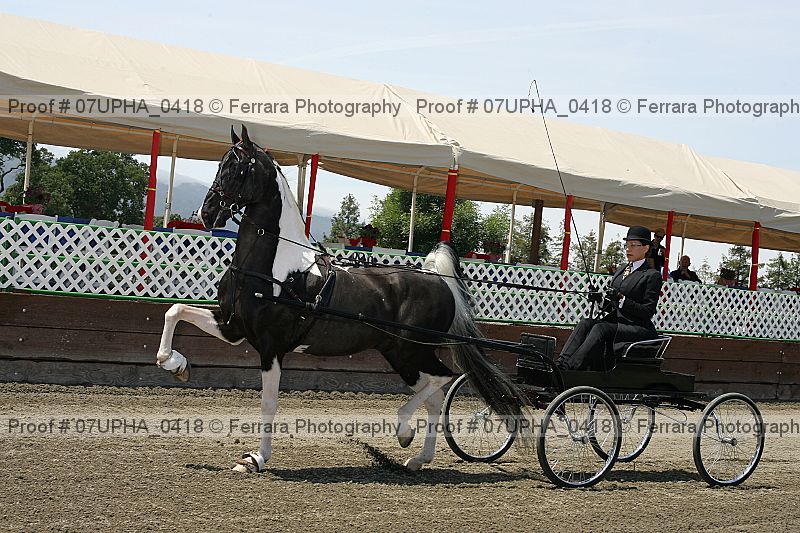 Proof Number 07upha_0418