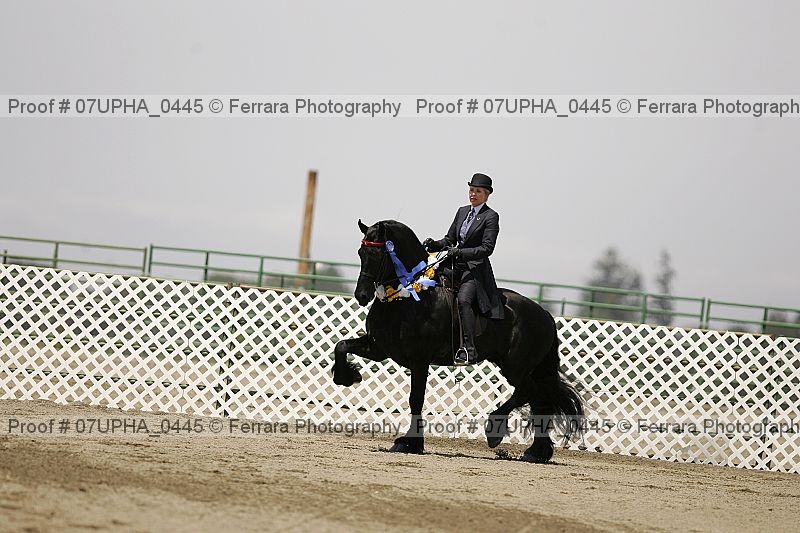 Proof Number 07upha_0445
