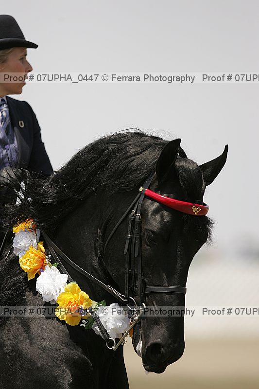 Proof Number 07upha_0447