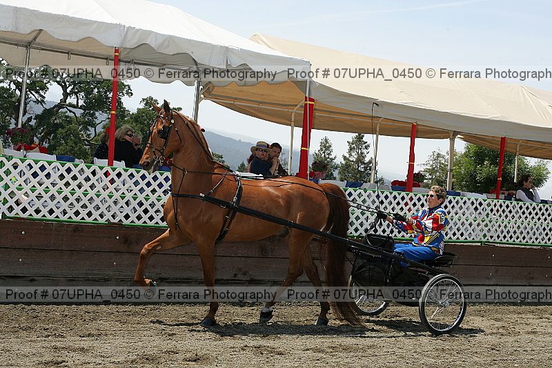 Proof Number 07upha_0450