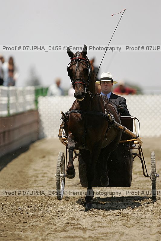 Proof Number 07upha_0458
